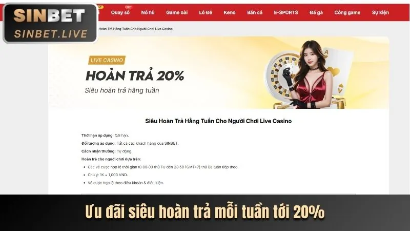 Giao diện thân thiện và trải nghiệm mượt mà trên di động